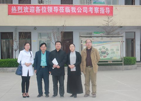 《家庭美德》，擁抱偉志企業(yè)
