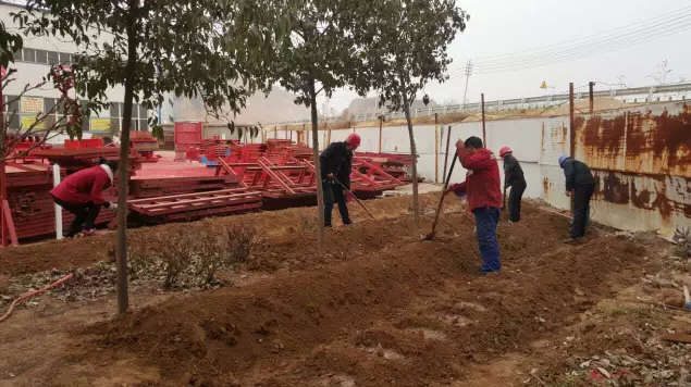 鋼模板廠家播下希望，收獲果實