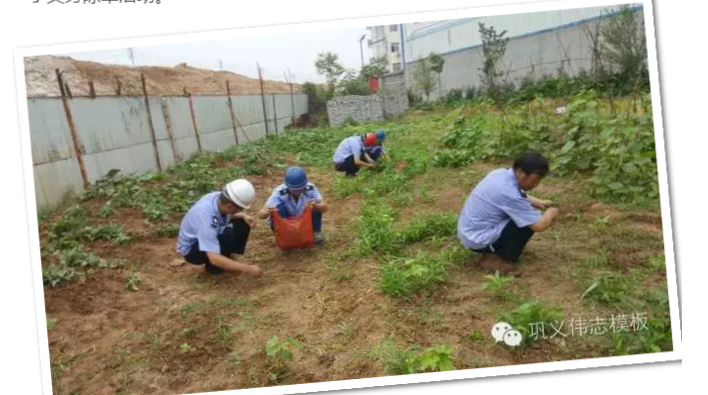 員工冒雨參加義務(wù)勞動(dòng)！感動(dòng)———偉志鋼模板廠家