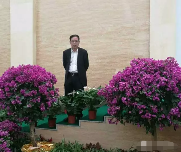 偉志模板董事長來保軍——我為偉志代言，幸福源于心中的愛