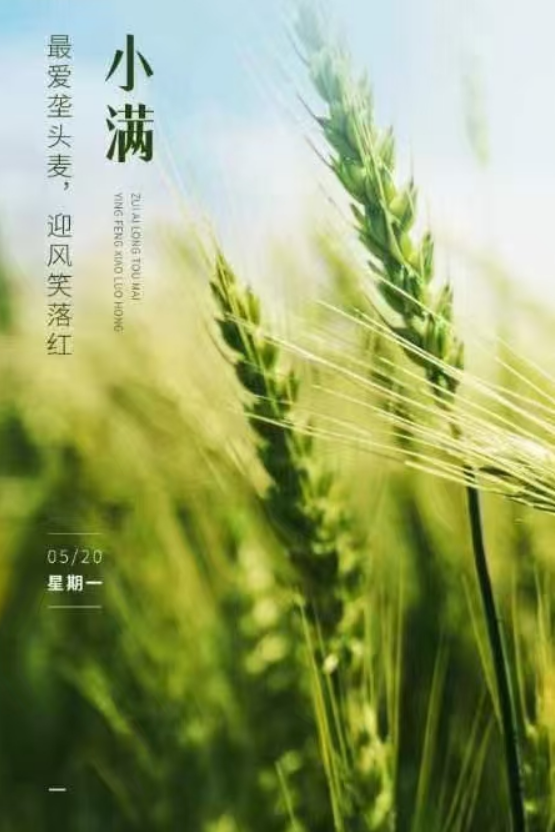 小滿即安，未來可期！