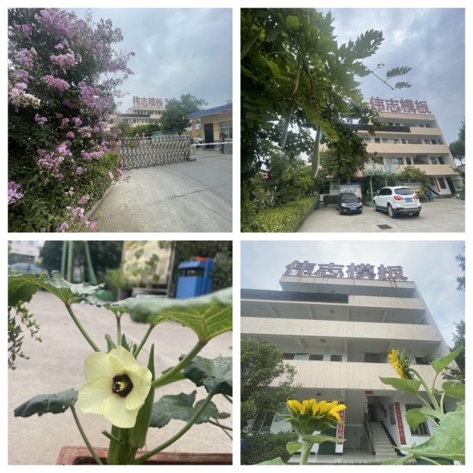 夏至來(lái)臨，期待美好