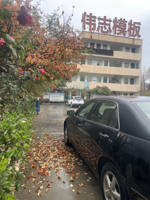 偉志模板溫馨提示：注意大風(fēng)降溫天氣！